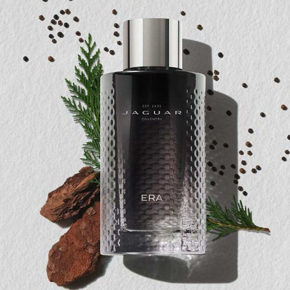 JAGUAR Era EDT Spray for Men - 3.4 oz Eau de Toilette - görsel 11