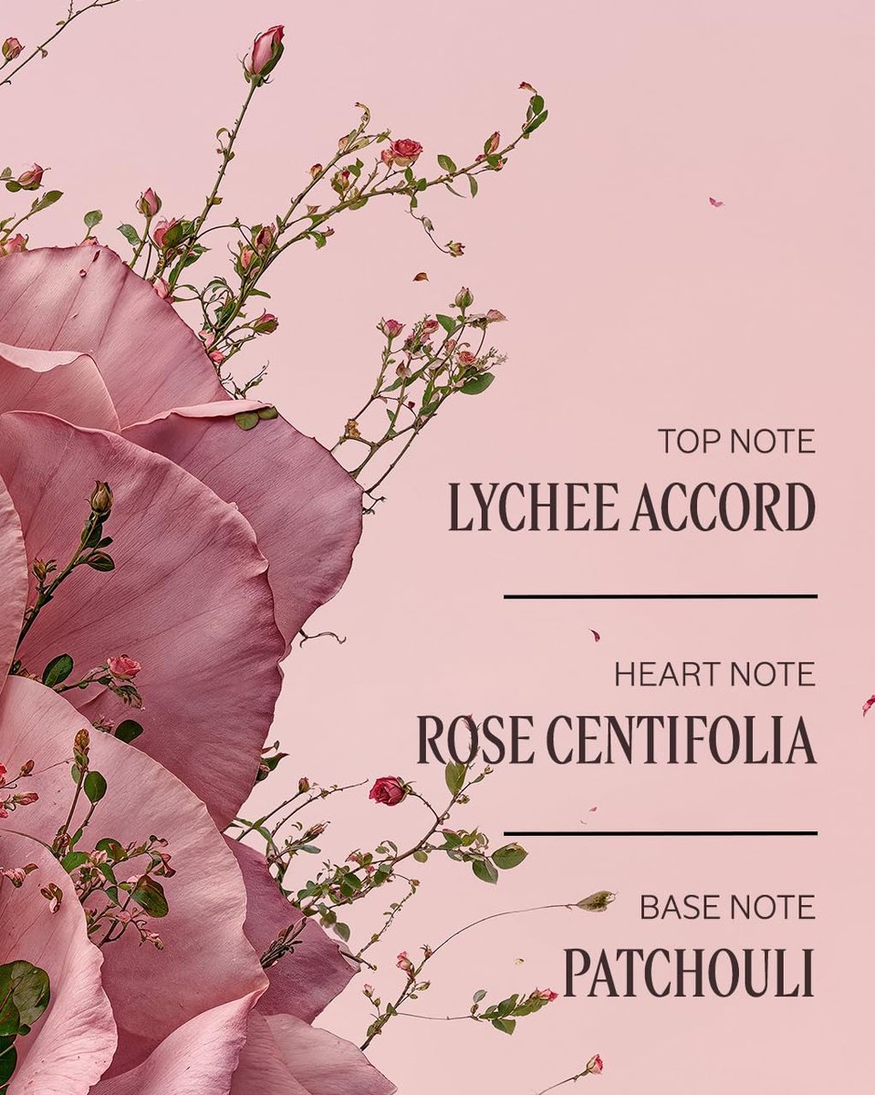 L'Occitane Rose Body Lotion – Moisturizing Shea Butter Body Cream with Romantic Rose Fragrance, 8 oz Avelisse