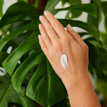 Weleda Unscented Hand Cream, 1.7 Fl Oz - Plant-Based Moisturizer with Jojoba, Borage & Coconut Oils Avelisse