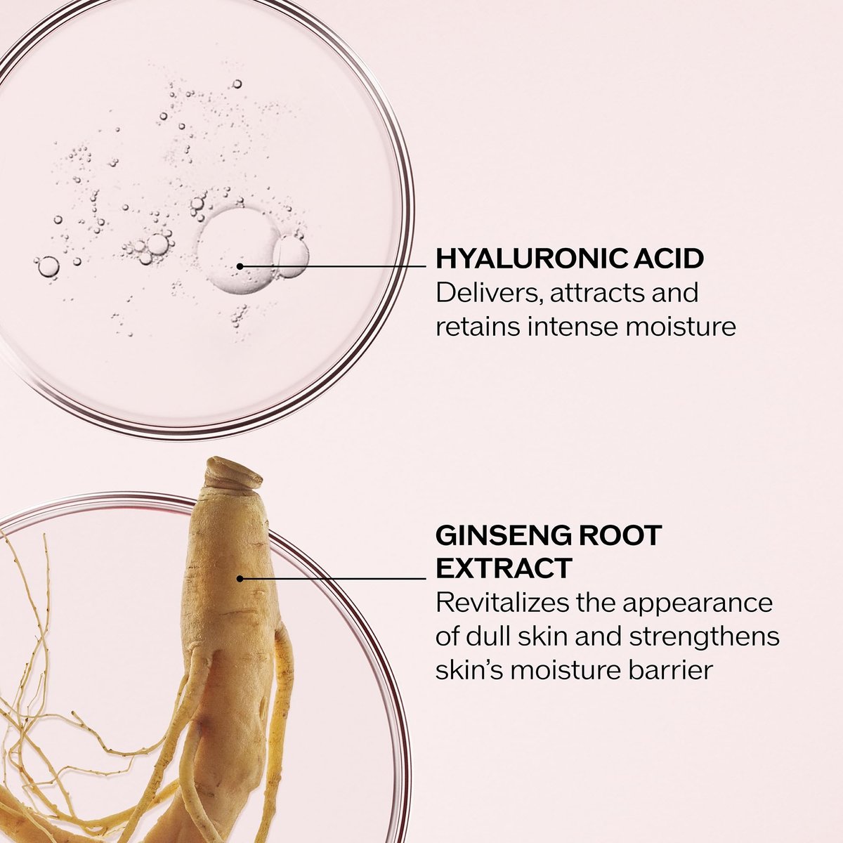 Shiseido Essential Energy Hydrating Cream Refill - 50 mL - Visibly Reduces Pores & Fine Lines - Hyaluronic Acid - 24-Hour Hydration - Vegan - All Skin Types Avelisse