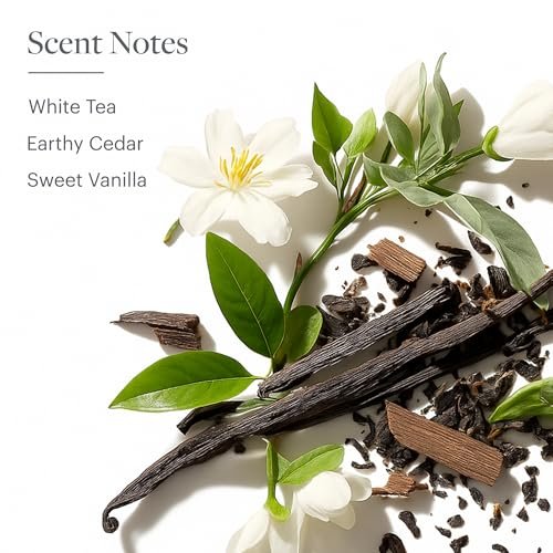 Westin White Tea Liquid Hand Soap - Signature White Tea Fragrance with Aloe Vera - Aromatherapy Hand Wash - 8 oz Avelisse