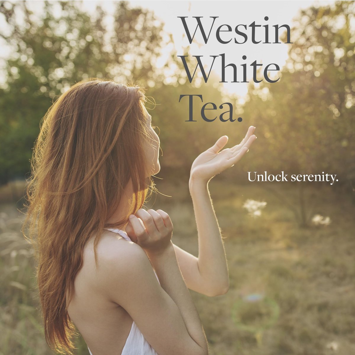 Westin White Tea Liquid Hand Soap - Signature White Tea Fragrance with Aloe Vera - Aromatherapy Hand Wash - 8 oz Avelisse