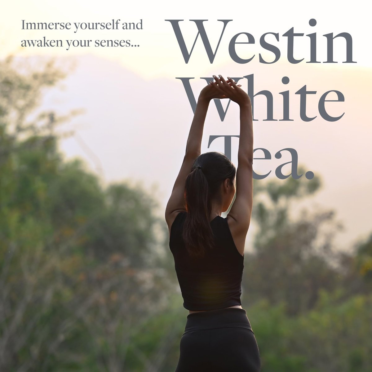 Westin White Tea Liquid Hand Soap - Signature White Tea Fragrance with Aloe Vera - Aromatherapy Hand Wash - 8 oz Avelisse