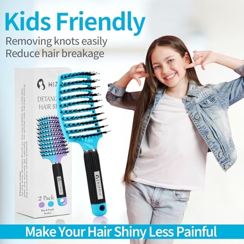 HIPPIH 2 Pack Boar Bristle Hair Brush - Wet & Dry No Pull Curved Vented Hairbrush for Women, Men & Kids - Adds Shine & Smoothness for Curly, Thick, Fine Hair - Blue & Purple - görsel 12