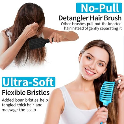 HIPPIH 2 Pack Boar Bristle Hair Brush - Wet & Dry No Pull Curved Vented Hairbrush for Women, Men & Kids - Adds Shine & Smoothness for Curly, Thick, Fine Hair - Blue & Purple