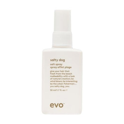EVO Salty Dog Sea Salt Hair Spray - Beachy Texture & Volumizing Spray with Matte Finish, Travel Size 1.7 fl oz Avelisse