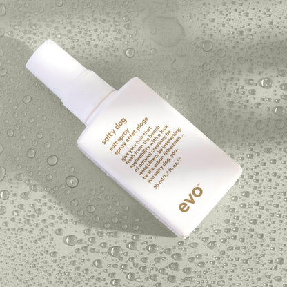 EVO Salty Dog Sea Salt Hair Spray - Beachy Texture & Volumizing Spray with Matte Finish, Travel Size 1.7 fl oz Avelisse