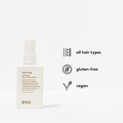 EVO Salty Dog Sea Salt Hair Spray - Beachy Texture & Volumizing Spray with Matte Finish, Travel Size 1.7 fl oz Avelisse