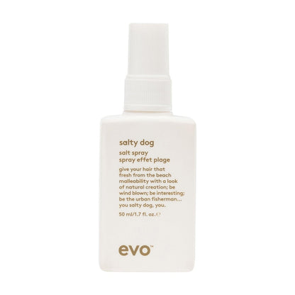 EVO Salty Dog Sea Salt Hair Spray - Beachy Texture & Volumizing Spray with Matte Finish, Travel Size 1.7 fl oz Avelisse