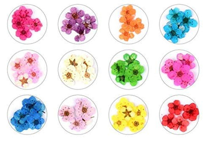 Mini Real Natural Dried Flowers for Nail Art - CHANGAR Five Petal Flower Decals, Resin Nail Art Supplies, Multicolor