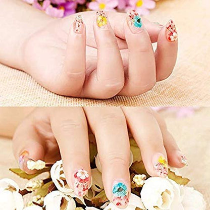 Mini Real Natural Dried Flowers for Nail Art - CHANGAR Five Petal Flower Decals, Resin Nail Art Supplies, Multicolor