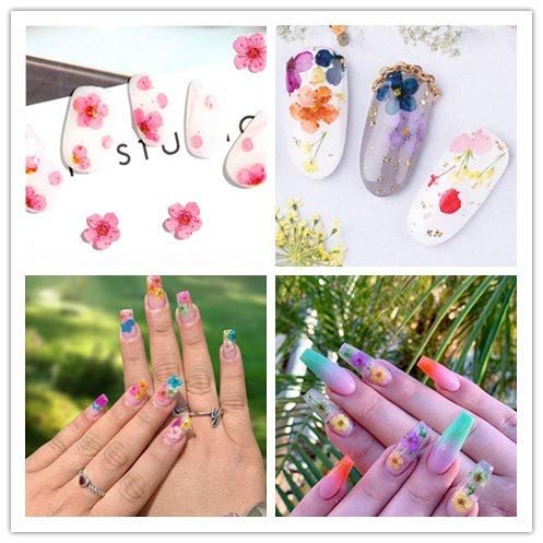 Mini Real Natural Dried Flowers for Nail Art - CHANGAR Five Petal Flower Decals, Resin Nail Art Supplies, Multicolor - görsel 5