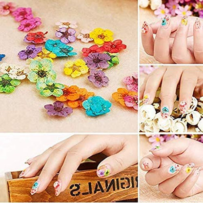 Mini Real Natural Dried Flowers for Nail Art - CHANGAR Five Petal Flower Decals, Resin Nail Art Supplies, Multicolor