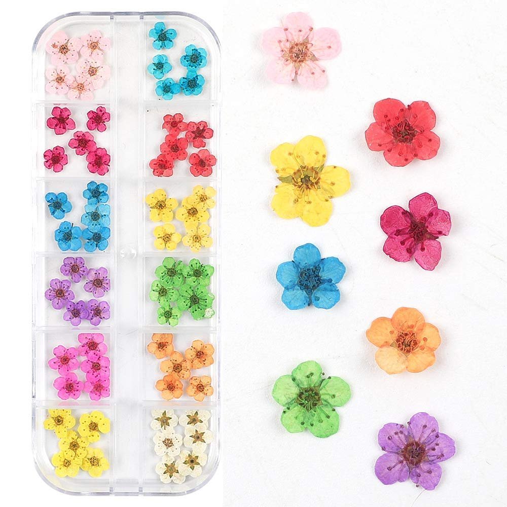 Mini Real Natural Dried Flowers for Nail Art - CHANGAR Five Petal Flower Decals, Resin Nail Art Supplies, Multicolor - görsel 1