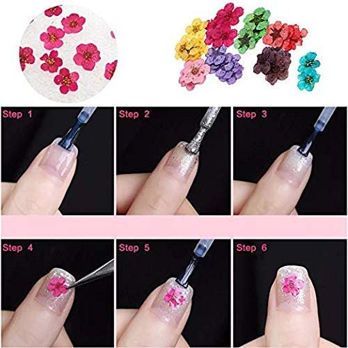 Mini Real Natural Dried Flowers for Nail Art - CHANGAR Five Petal Flower Decals, Resin Nail Art Supplies, Multicolor - görsel 8