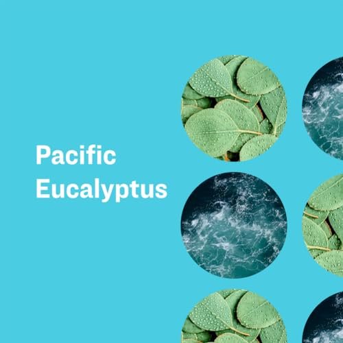 Everyone for Every Body Eucalyptus Soap - 1 oz Bar Avelisse