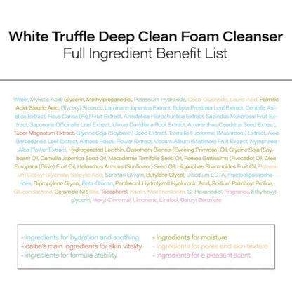 d'alba Piedmont Italian White Truffle Deep Foam Cleanser – Vegan, Hypoallergenic Gentle Foaming Face Wash for All Skin Types Avelisse