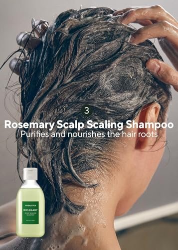 AROMATICA Rosemary Scalp Scaling Trial Kit - Travel Size Korean Hair Care Kit for Women with Mini Wooden Brush, Gentle Exfoliating Scalp Care for Hair Growth, Rosemary Oil & Vegan Formula Avelisse