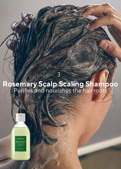 AROMATICA Rosemary Scalp Scaling Trial Kit - Travel Size Korean Hair Care Kit for Women with Mini Wooden Brush, Gentle Exfoliating Scalp Care for Hair Growth, Rosemary Oil & Vegan Formula Avelisse