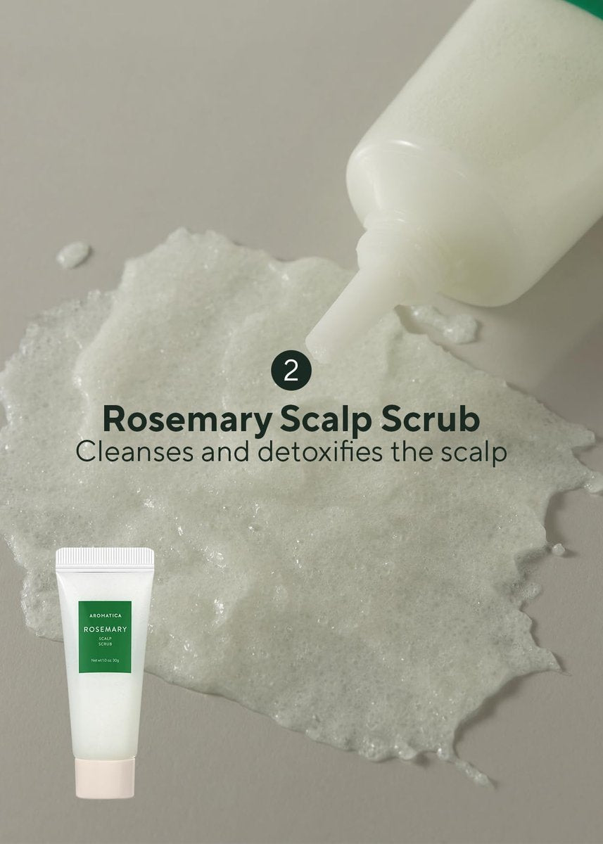 AROMATICA Rosemary Scalp Scaling Trial Kit - Travel Size Korean Hair Care Kit for Women with Mini Wooden Brush, Gentle Exfoliating Scalp Care for Hair Growth, Rosemary Oil & Vegan Formula Avelisse