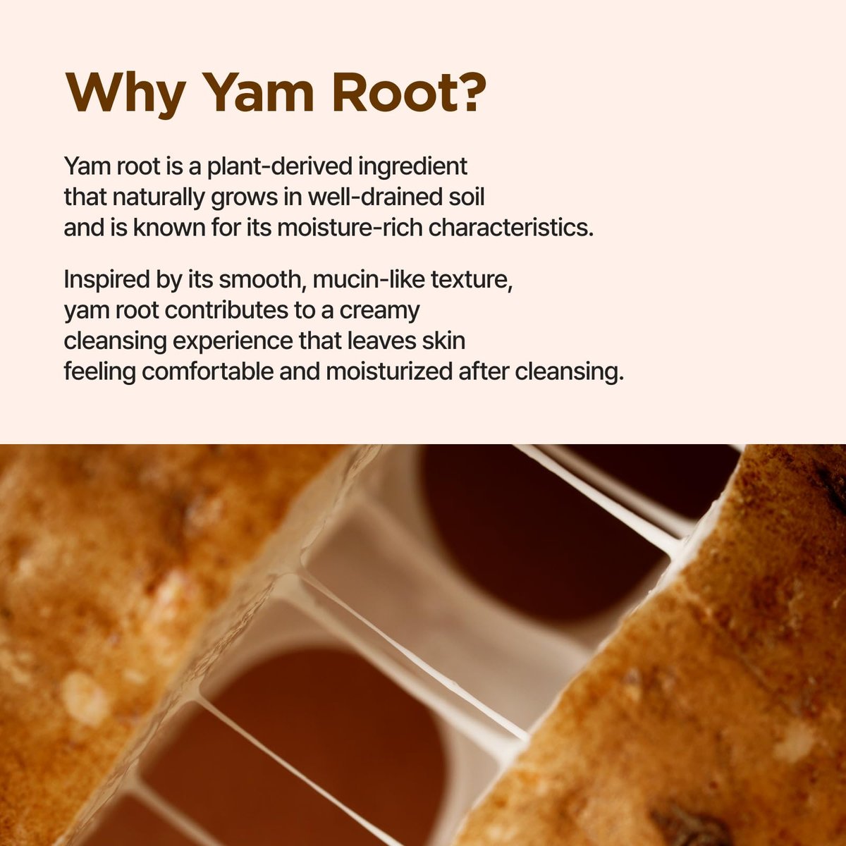 IsNtree Yam Root Vegan Milk Cleanser - 220ml (7.43 fl.oz) | Korean Facial Cleanser for Sensitive Skin | Rich & Creamy Texture | Hydrating & Mild | Vegan & Cruelty-Free Skincare Avelisse