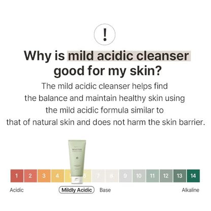 mixsoon Master Gentle Recipe Foam Cleanser - Mild Exfoliation Daily Cleanser with Amino Acid Complex and Cica, Soft Foam for Clear, Moisturized Skin (150ml / 5.07 fl. oz.) Avelisse
