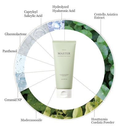mixsoon Master Gentle Recipe Foam Cleanser - Mild Exfoliation Daily Cleanser with Amino Acid Complex and Cica, Soft Foam for Clear, Moisturized Skin (150ml / 5.07 fl. oz.) Avelisse