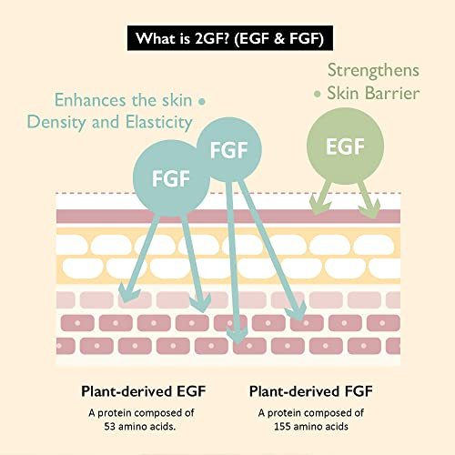 Haruharu Wonder Black Rice Botanical 2GF Ampoule - Anti-Aging Facial Serum with EGF, 30ml - görsel 8