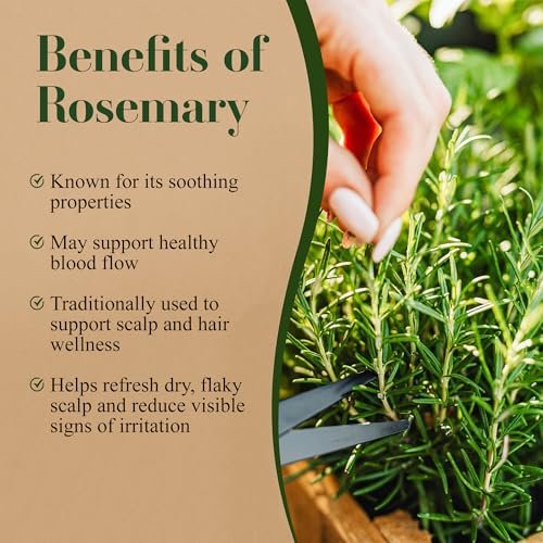 Lia Organics Rosemary Hair Growth Scalp Spray - Natural Hair Regrowth Treatment for Men and Women Avelisse