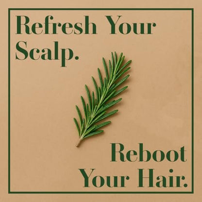 Lia Organics Rosemary Hair Growth Scalp Spray - Natural Hair Regrowth Treatment for Men and Women Avelisse