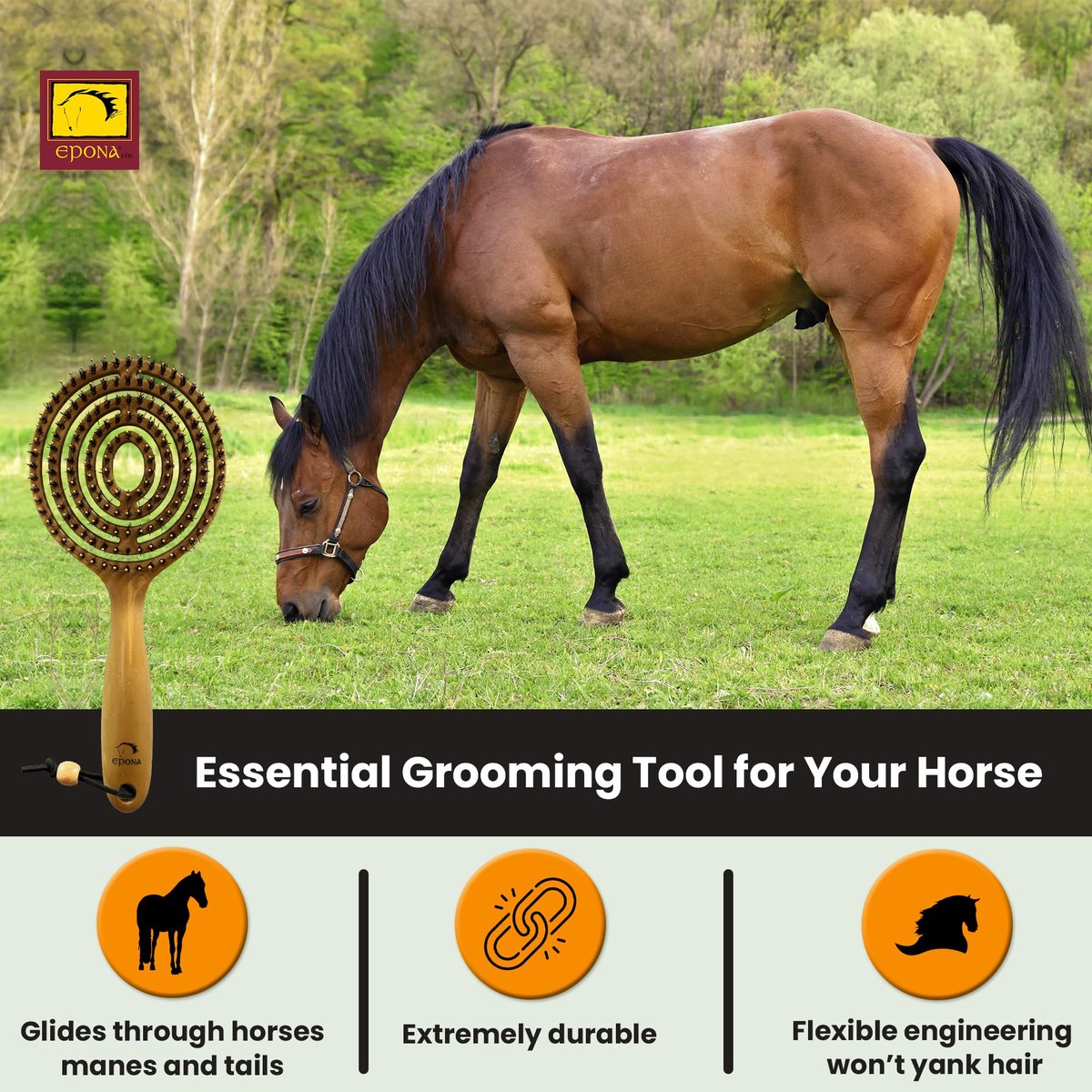 Epona Queens Mane & Tail Brush – Natural Wheat Straw Hair Brush for Gentle Detangling Avelisse