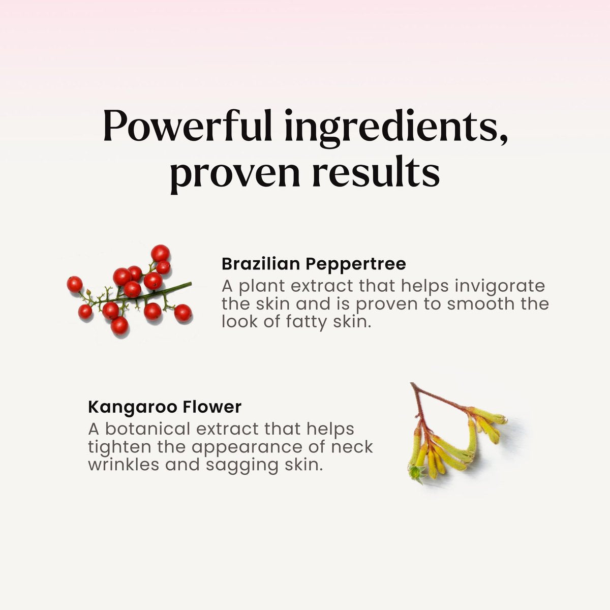 MAËLYS B-POISED Neck Firming Cream – Anti-Aging Neck & Décolleté Cream with Brazilian Peppertree, Linoleic Acid & Kangaroo Flower (1.7 Fl Oz) Avelisse