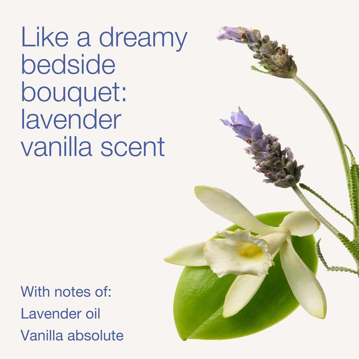Bath & Body Works Lavender Vanilla Aromatherapy Body Cream - Ultimate Hydration Moisturizer with Shea Butter & Hyaluronic Acid for Dry Skin, 8 fl oz (Pack of 2) Avelisse