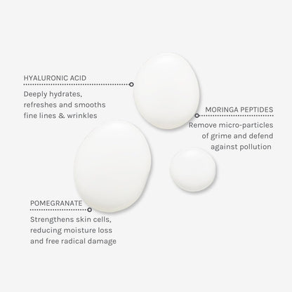 Evolve Organic Beauty Deep Clean Micellar Water – Vegan, Small-Batch, Moringa Peptide & Hyaluronic Acid, 6.4 fl oz
