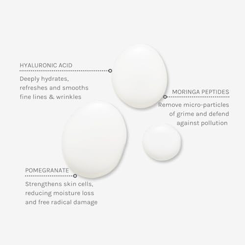 Evolve Organic Beauty Deep Clean Micellar Water – Vegan, Small-Batch, Moringa Peptide & Hyaluronic Acid, 6.4 fl oz - görsel 4