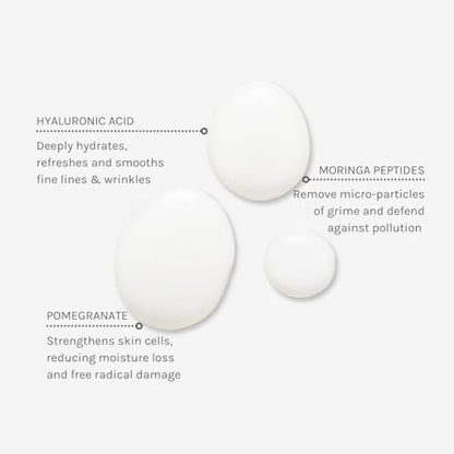 Evolve Organic Beauty Deep Clean Micellar Water – Vegan, Small-Batch, Moringa Peptide & Hyaluronic Acid, 6.4 fl oz