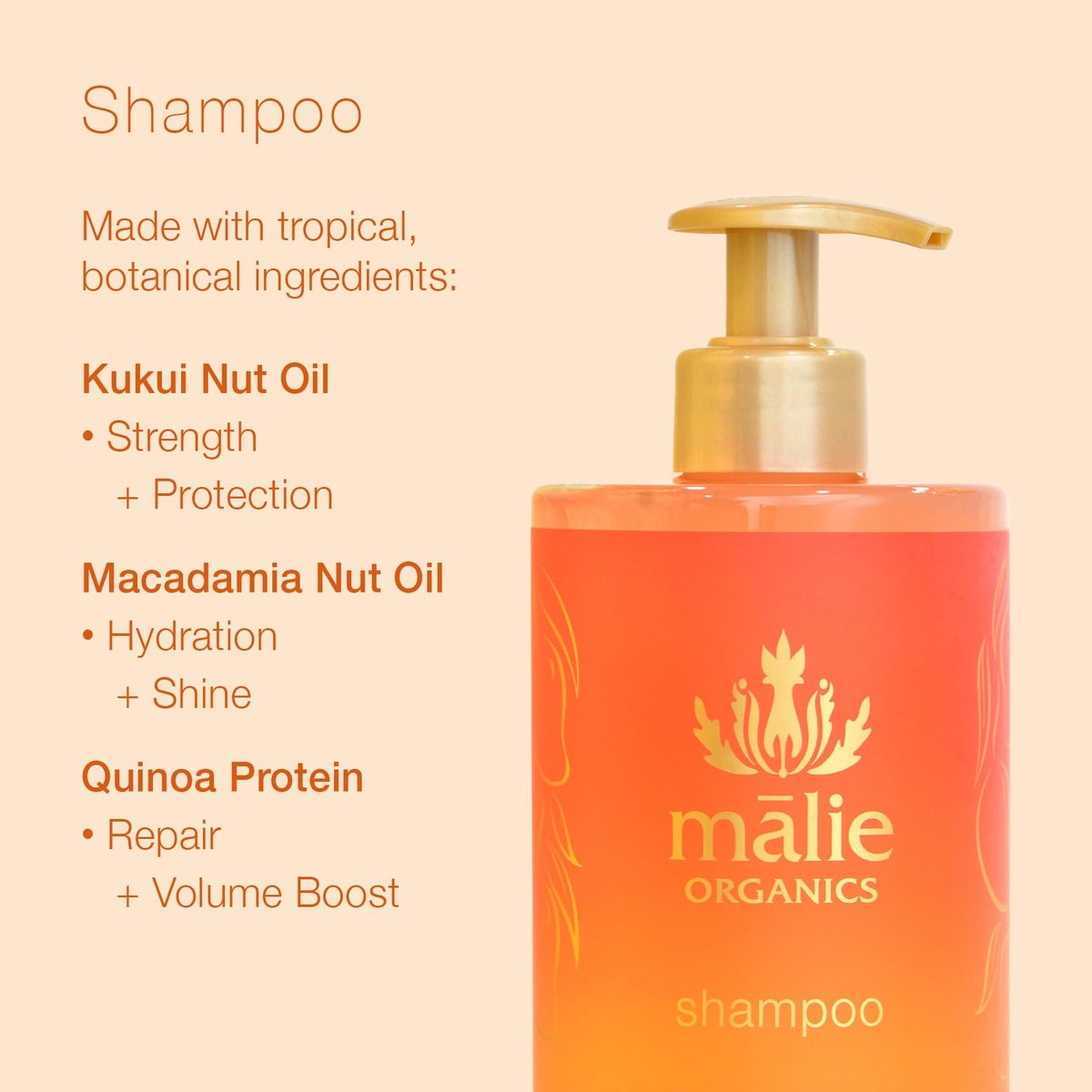 Mālie Organics Shampoo, Mango Nectar Scent, Daily Cleanse for All Hair Types, Kukui Nut Oil + Macadamia Nut Oil + Quinoa Protein, Vegan, 14 Fl Oz Avelisse