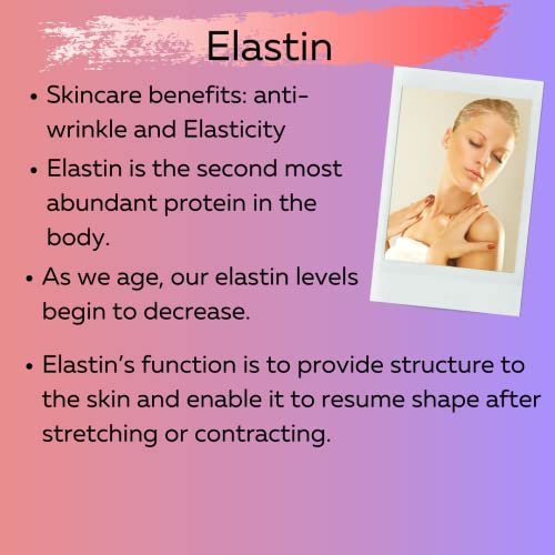 Delfanti-Milano COLLAGEN with VITAMIN C & ELASTIN Sculpting & Lifting Anti-Aging Day Cream - Face and Neck Moisturizer - Made in Italy (1.69 Fl Oz) Avelisse