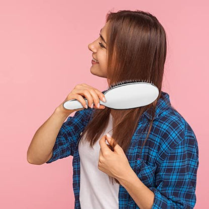 Sibba Anti-static Hair Brush Paddle Massage Hair Extension Brush - Professional Detangle Natural Bristle Cushion Nylon Brush Comb for Long Thick Wavy Hair (Silver)