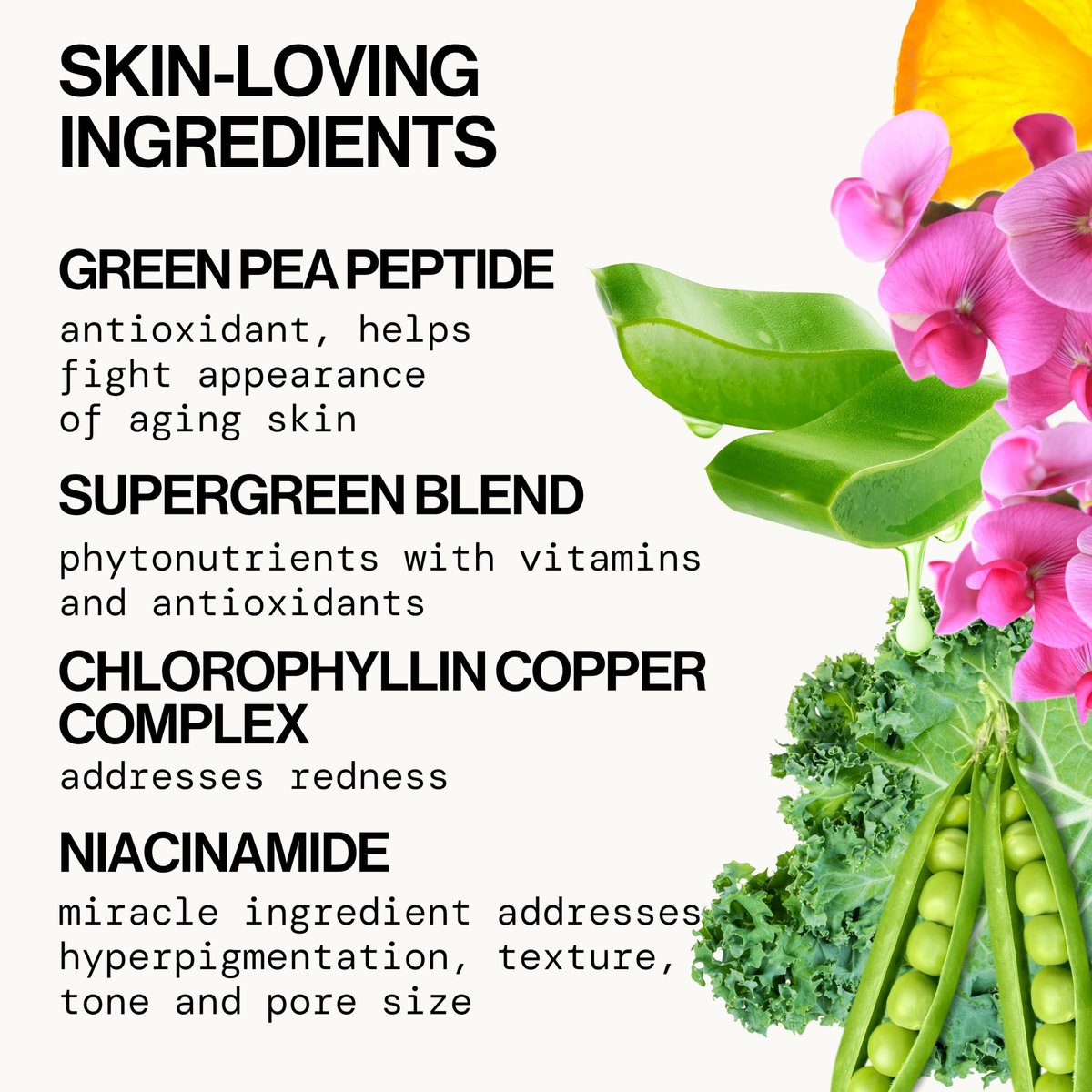 Pacifica Kale Smoothie Refining Face Lotion - Niacinamide & Vitamin C Moisturizer for All Skin Types, Minimizes Pores, Vegan, 1.7 fl oz Avelisse