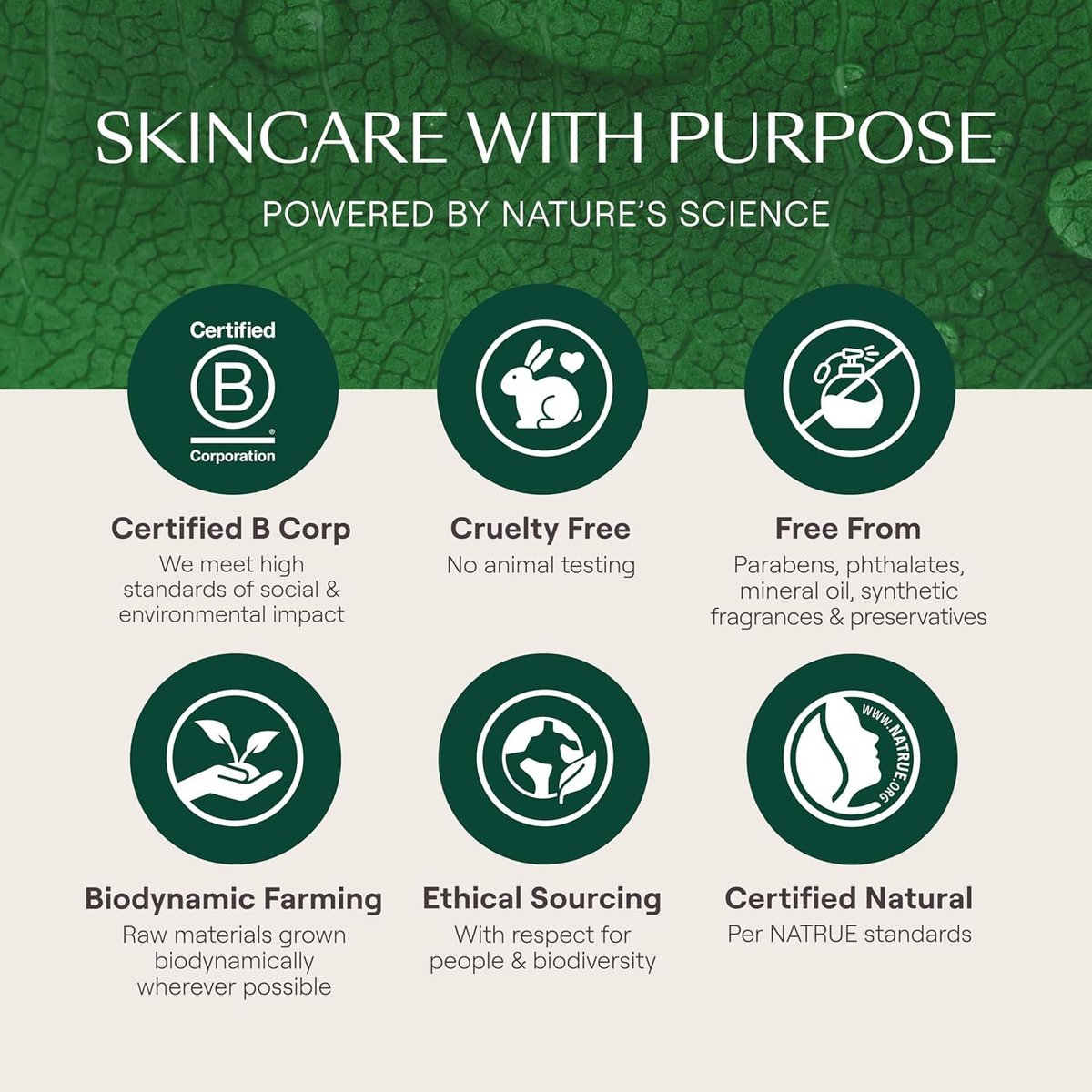 Weleda Skin Food Face Care Nourishing Day Cream - Plant Rich Moisturizer with Olive Leaf Extract, Squalane and Chamomile, 1.3 Fl Oz - görsel 7