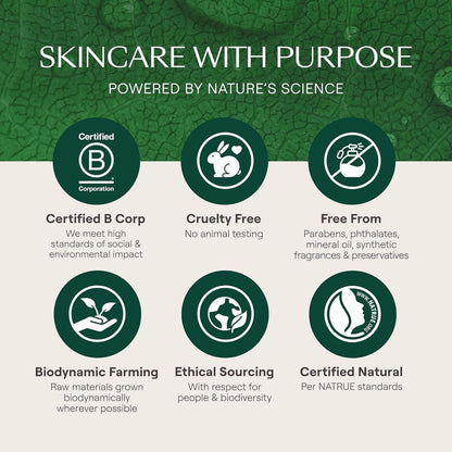 Weleda Skin Food Face Care Nourishing Day Cream - Plant Rich Moisturizer with Olive Leaf Extract, Squalane and Chamomile, 1.3 Fl Oz