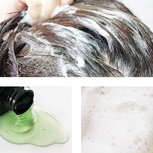 LA'DOR Herbalism Hair Shampoo 400ml - Strengthens Roots, Prevents Hair Loss with 7 Herbal Extracts, Panthenol & Amino Acids - görsel 3