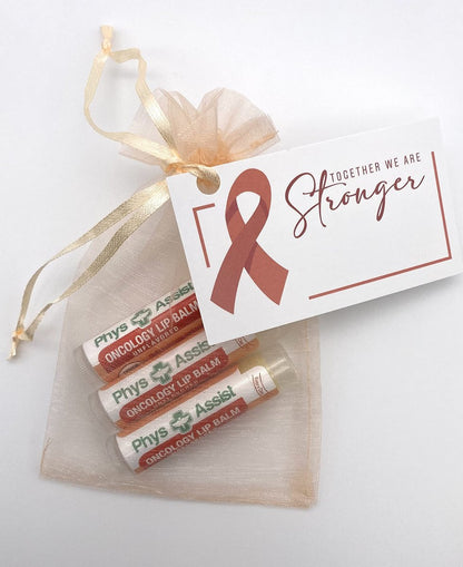 PhysAssist Oncology Lip Balm - USDA Organic Unflavored Moisturizing Lip Care for Chemo & Radiation - 3 Pack Avelisse
