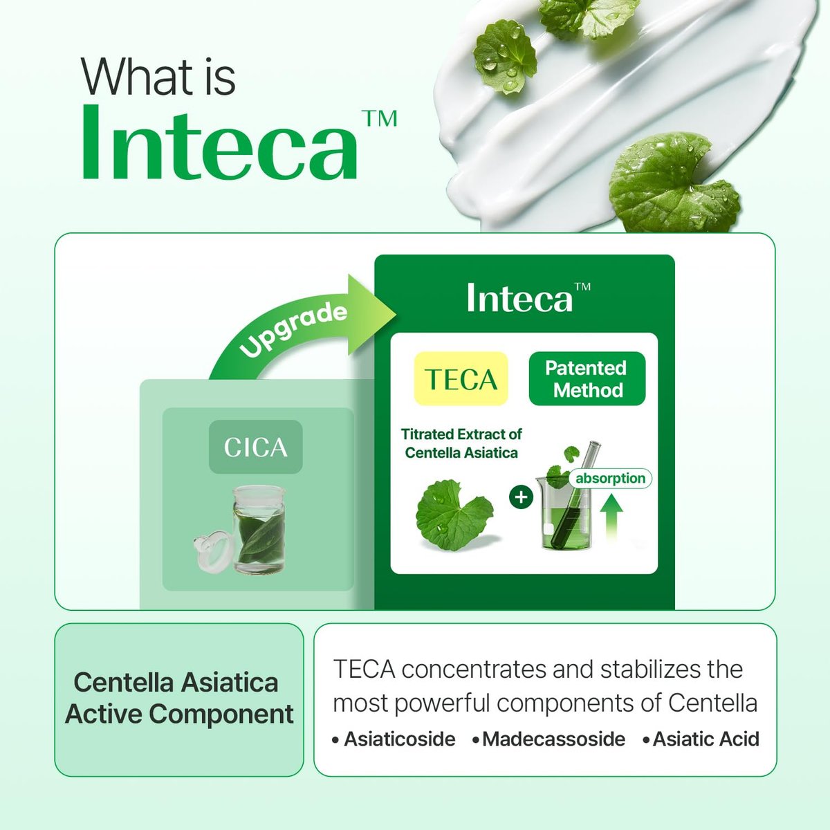 MAKE P:REM INTECA™ Soothing Cream – Advanced Non-Comedogenic Centella Asiatica Moisturizer for Acne-Prone & Sensitive Skin, Korean Vegan Face Cream, 2.70 fl oz Avelisse
