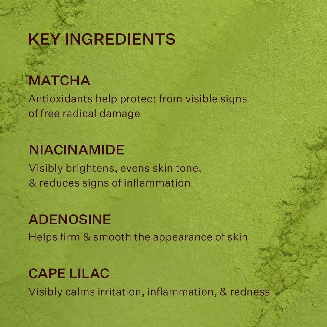Peach & Lily Matcha Pudding Antioxidant Cream - Hydrating Face Moisturizer with Green Tea & Niacinamide, Vegan & Cruelty-Free Korean Skincare (1.69 fl oz) Avelisse