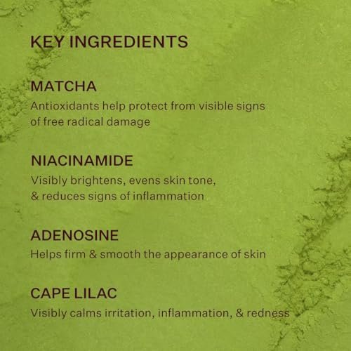 Peach & Lily Matcha Pudding Antioxidant Cream - Hydrating Face Moisturizer with Green Tea & Niacinamide, Vegan & Cruelty-Free Korean Skincare (1.69 fl oz) Avelisse