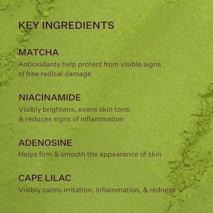 Peach & Lily Matcha Pudding Antioxidant Cream - Hydrating Face Moisturizer with Green Tea & Niacinamide, Vegan & Cruelty-Free Korean Skincare (1.69 fl oz) Avelisse