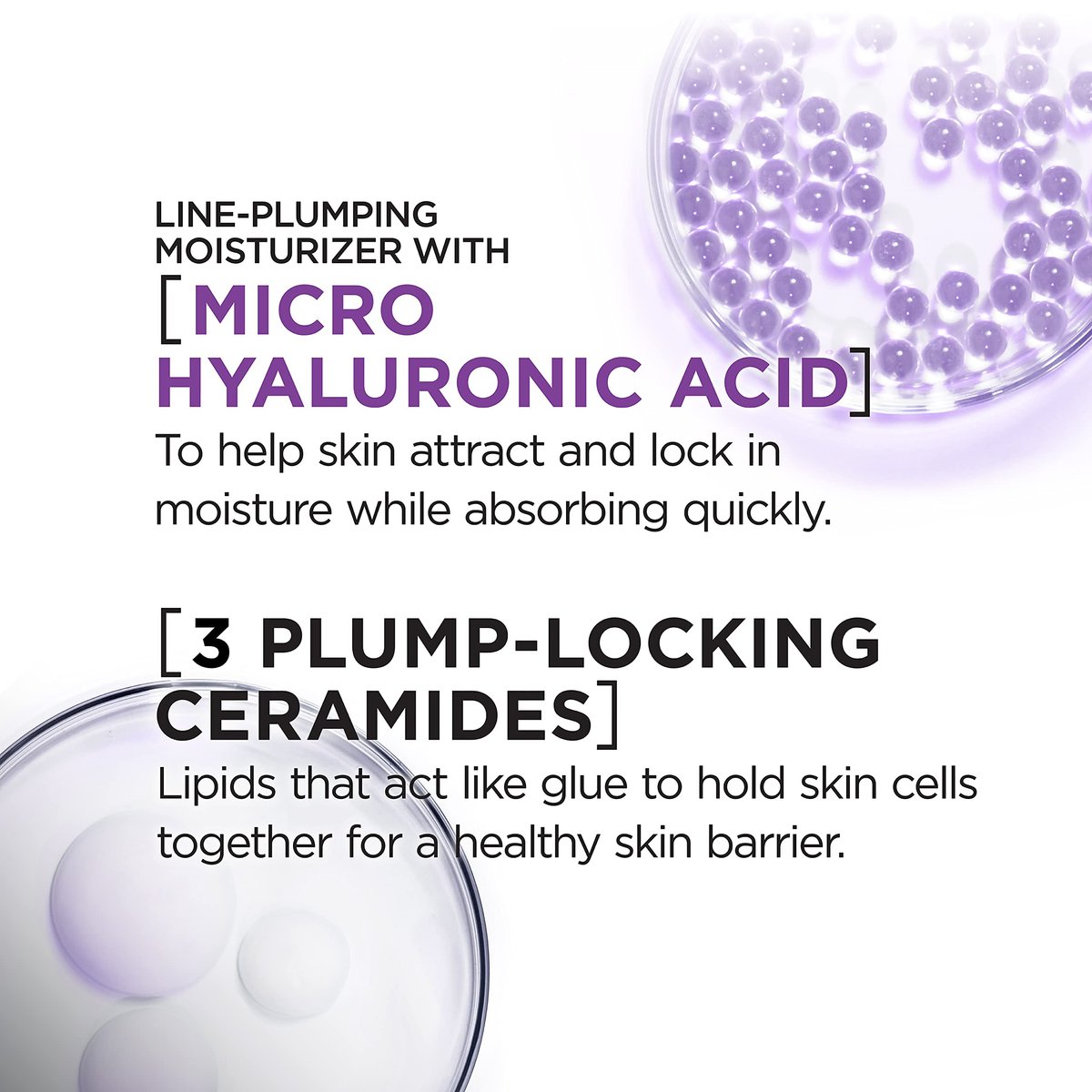 L'Oreal Paris Revitalift Hyaluronic Acid Water Cream with Ceramides - Fragrance Free Moisturizer (1.7 oz) + Serum Sample Avelisse