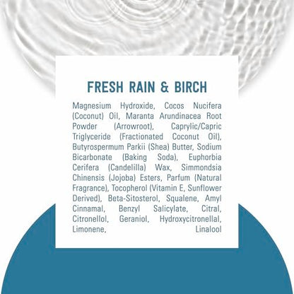 Schmidt's Aluminum-Free Vegan Deodorant Fresh Rain & Birch – 24 Hour Odor Protection, Natural Ingredients, Cruelty-Free, 2.65 oz